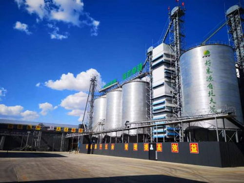 美麗工廠 建設,為米業(yè)集團發(fā)展注入澎湃動能