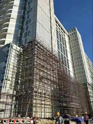 實力證明,泰爾美優質產品走出國門遠銷海外!