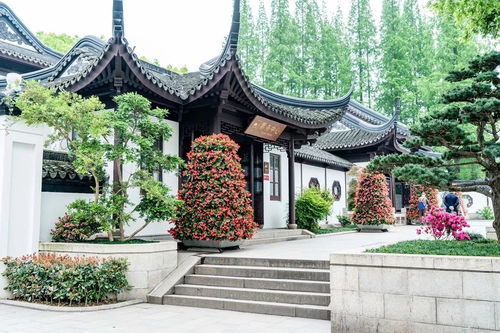 捷報丨設計學院風景園林系2個項目獲2019英國國家景觀獎 bali